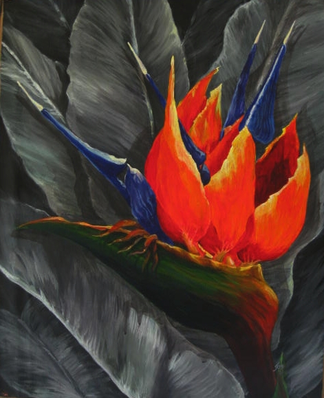 Bird of Paradise Series  Sharon Fox-Mould Fine Art